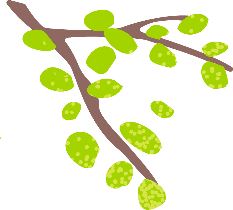 木の枝